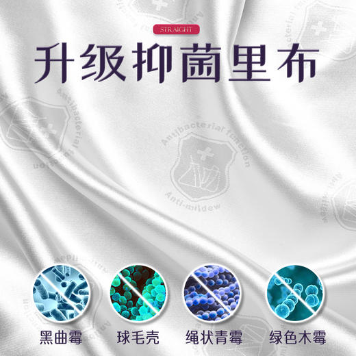 联众大容量舒适透气学生书包FP8668适合身高135-160CM 商品图2