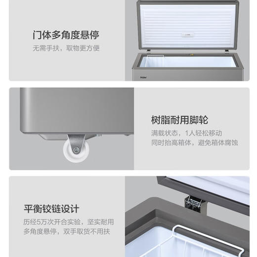 海尔（Haier）冷柜 BC/BD-306GHEPT 商品图13