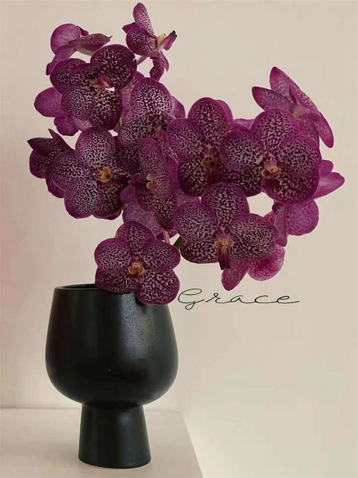 精品进口胡姬花万代兰鲜切花1支 商品图0