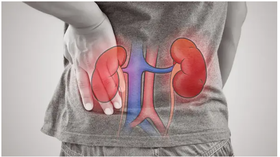 立冬补肾养生指南请收好，让您肾气十足！