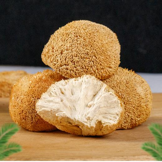 【贵州猴头菇】  口口留香 商品图1