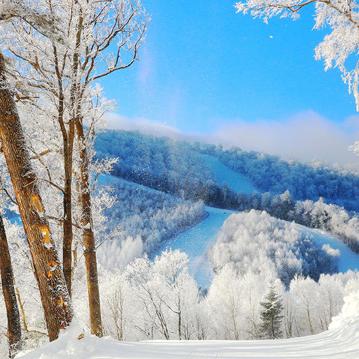 万达智选假日酒店 滑雪季 商品图3