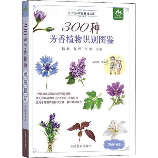 300种芳香植物识别图鉴 彩图典藏版 商品图4