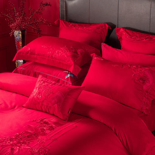 多喜爱 喜玫瑰婚庆新绒棉缎纹床上用品八件套 美满人生（红） cs 商品图1