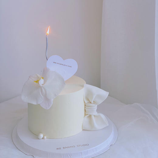 蝴蝶兰A 商品图0