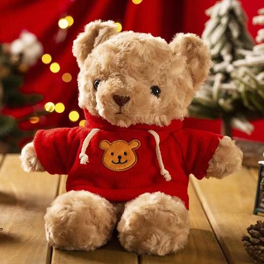 艾达的世界牛奶巧克力制品小熊60g/040963 口感丝滑毛绒玩具小熊可手拿可背挎 商品图1