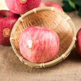 陕西 洛川红富士