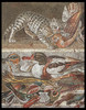特別展「ポンペイ」/特别展“庞贝”  Pompeii 商品缩略图1