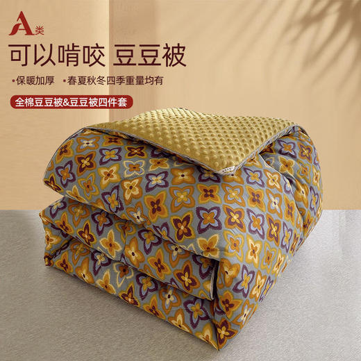 XLFZ 628 全棉A类大豆纤维冬被子被芯加厚春秋被 商品图0