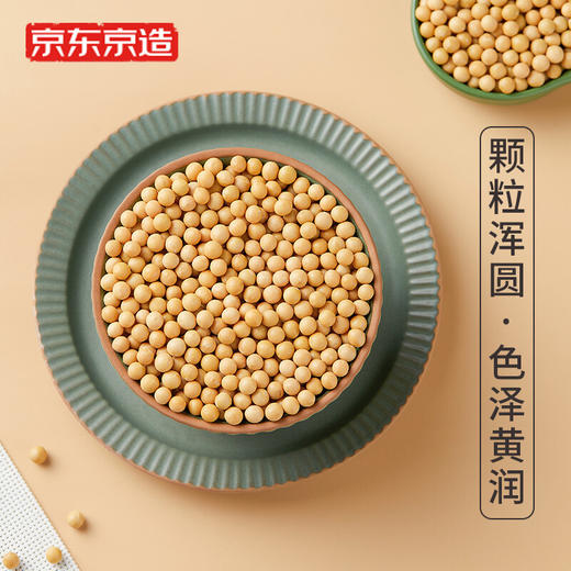京东京造 海伦黄豆1kg 可发豆芽杂粮 真空装 大米伴侣 商品图2