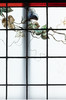 独角鹿西洋古董法国新艺术时期水岸鸢尾雀鸟主题彩绘玻璃花窗一对 商品缩略图1