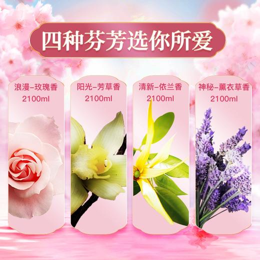 【中欧班列精选】XDR韩国柔顺剂 原装进口碧珍柔顺剂 2.1L 4种香型可选 商品图8