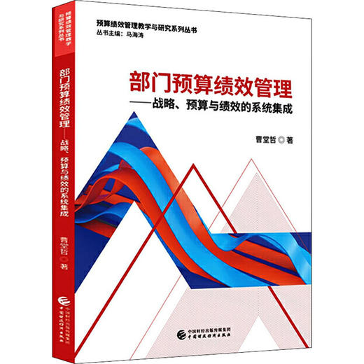 部门预算绩效管理——战略、预算与绩效的系统集成 商品图0