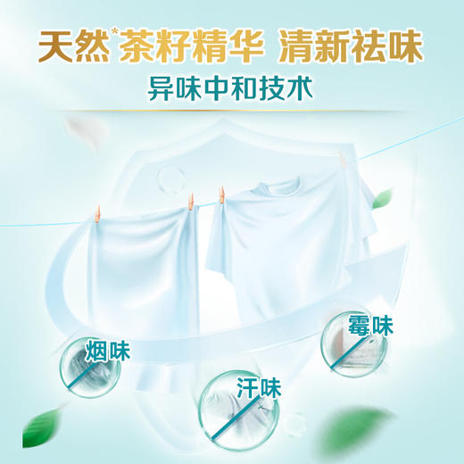 立白天然茶籽除菌洗衣液6kg（500g*12袋）补充装 香水洗衣液香味持久 手洗机洗 酒店整箱批发团购 商品图3
