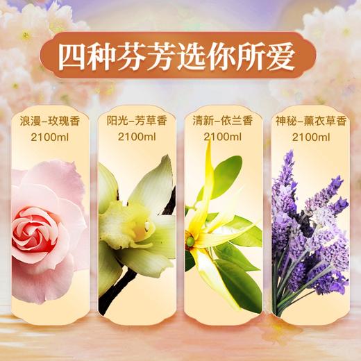 【中欧班列精选】XDR 韩国 碧珍柔顺剂桶装 2.5L/桶 三种香型可选 商品图5