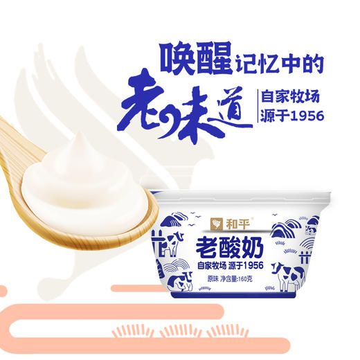 老酸奶160g*3杯 商品图2
