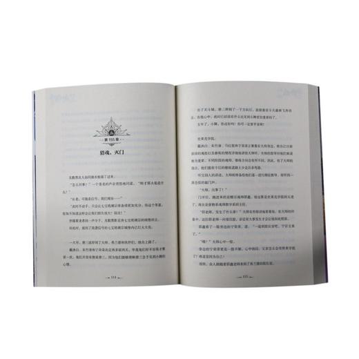 斗罗大陆(新版10) 商品图4