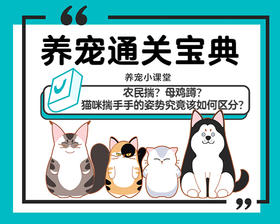 农民揣？母鸡蹲？猫咪揣手手的姿势究竟该如何区分？