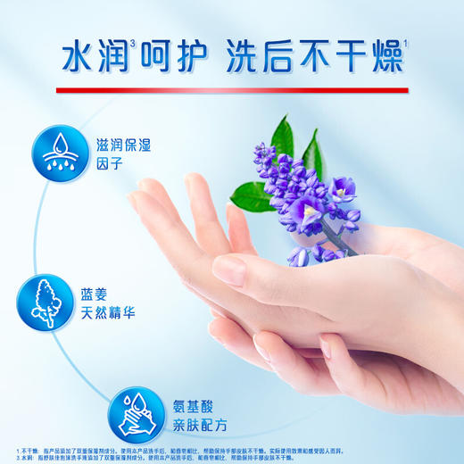 舒肤佳蓝姜氨基酸排浊泡沫洗手液225ml健康抑菌99.9% 泡沫细腻易冲洗 新老包装随机发货 商品图3