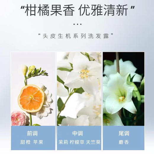 Shiseido资生堂洗发水/护发素 护理道头皮系列丰盈蓬松生机500ml 商品图1