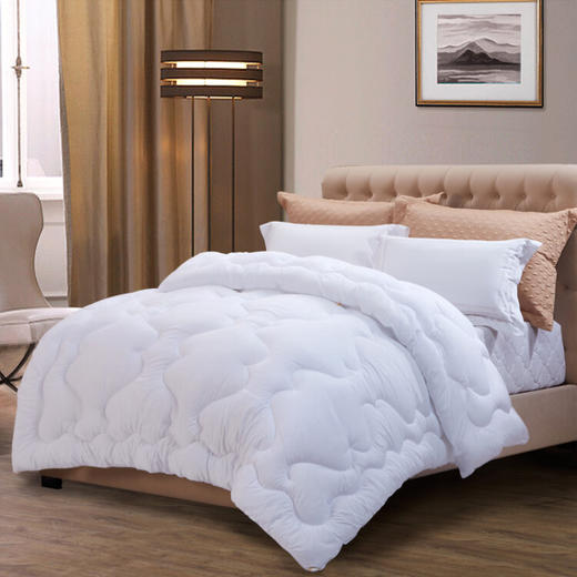 富安娜  冬厚被-逸享暖芯被二代  203*229cm(2000g) 商品图0