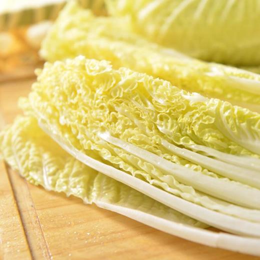 高山大娃娃菜 约500g/份（蔬菜）高原 商品图3