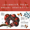 DK植物大百科 新版 英国DK出版社 著 科普读物 商品缩略图3