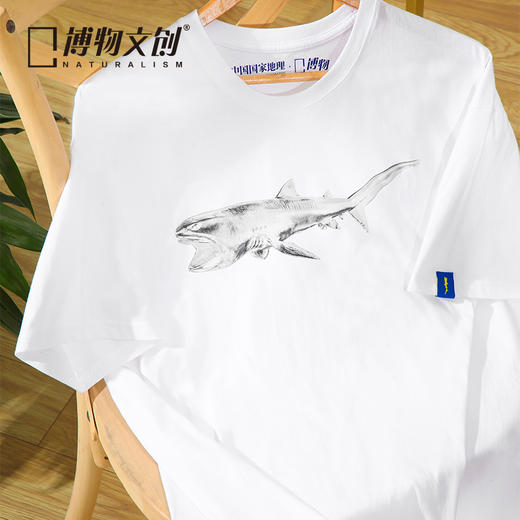 博物文创巨口鲨原创鲨鱼T恤100%纯棉潮流文艺半袖短袖 商品图1