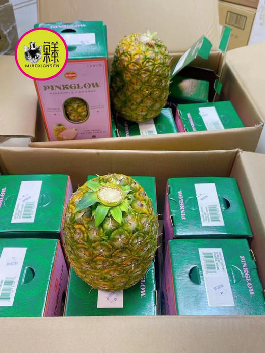 📦哥斯达黎加【土豪粉菠萝】港口直发 商品图11