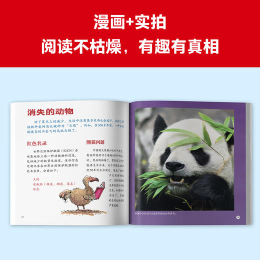 生活中的数学真有趣，有趣就会有兴趣（全10册）6岁+ 5大基础领域，运算、统计、图形、测量和规律！ 商品图6