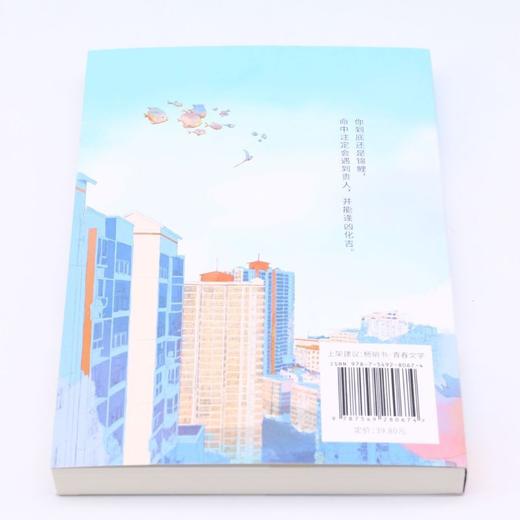 锦鲤要出道 商品图2