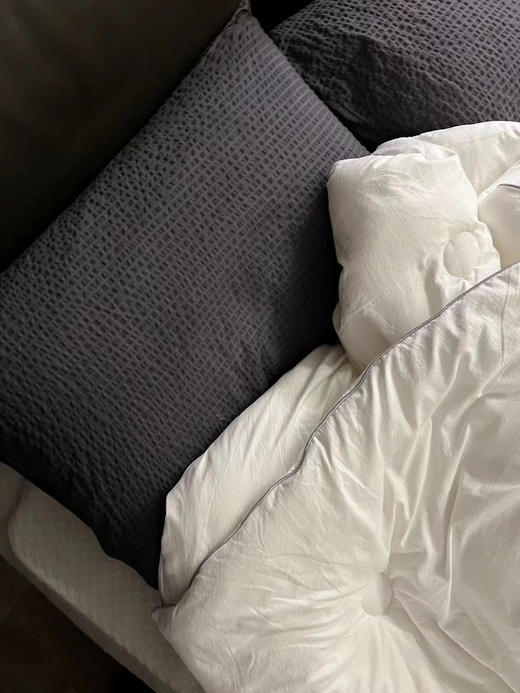 软乎乎的牛奶被！A类标准！！环保无染工艺！！超有性价比的👑 商品图5