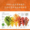 DK植物大百科 新版 英国DK出版社 著 科普读物 商品缩略图1