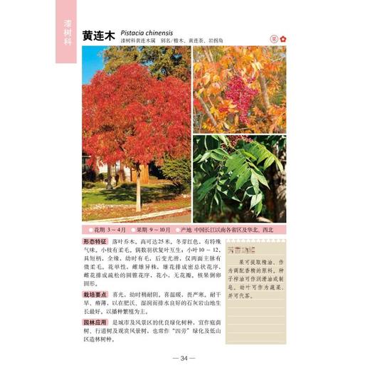 300种芳香植物识别图鉴 彩图典藏版 商品图2