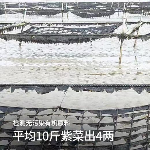【100%有机益生元夹心海苔 十斤出四两！！】 商品图1