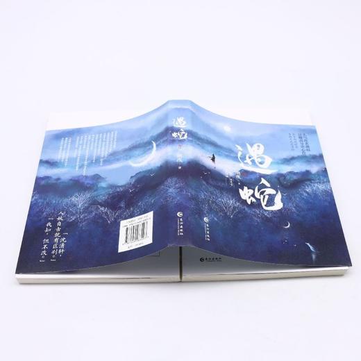 遇蛇 商品图3