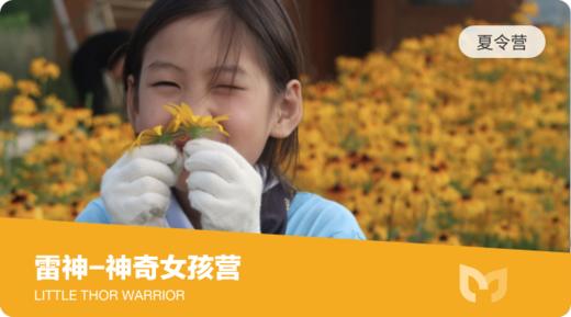 神奇女孩 商品图0