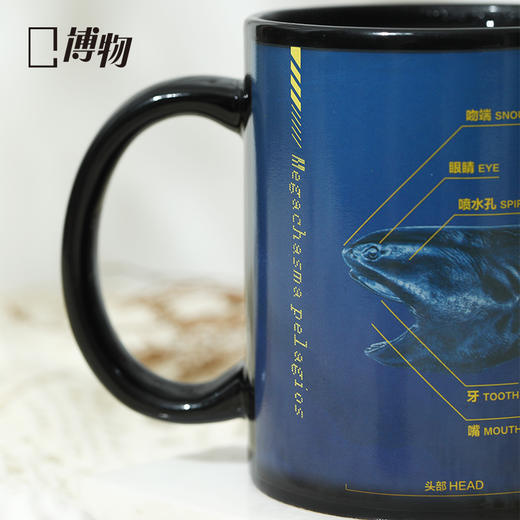 博物 巨口鲨温感鲨鱼杯会变色陶瓷杯咖啡马克杯毕业圣诞礼物 商品图4