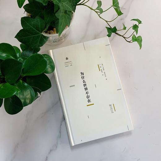 为什么世界不存在（未来哲学丛书） 商品图1