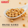京东京造 海伦黄豆1kg 可发豆芽杂粮 真空装 大米伴侣 商品缩略图1