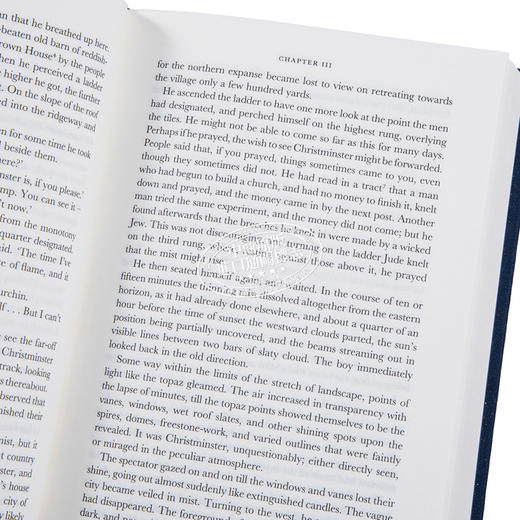 【中商原版】企鹅布面经典系列 托马斯哈代 盒装四本 英文原版 Thomas Hardy Boxed Set Thomas Hardy 经典文学 商品图3