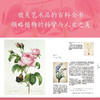 DK植物大百科 新版 英国DK出版社 著 科普读物 商品缩略图2