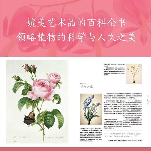 DK植物大百科 新版 英国DK出版社 著 科普读物 商品图2