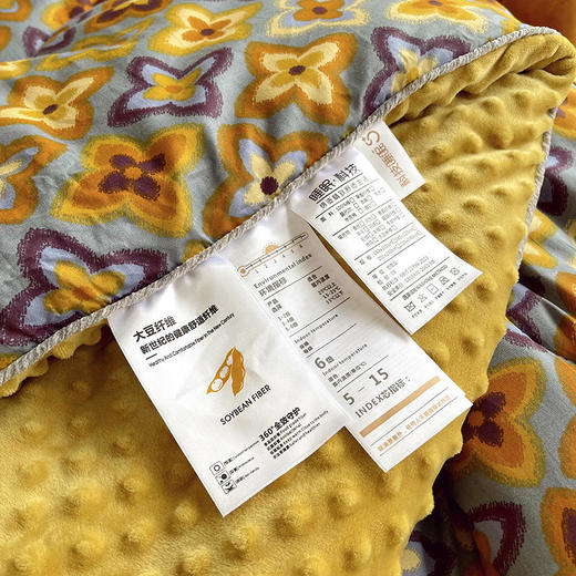 XLFZ 628 全棉A类大豆纤维冬被子被芯加厚春秋被 商品图2