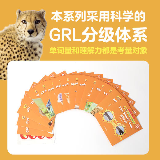 学乐小读者英语分级阅读 科普系列D级 全17册 3-8岁 美国学乐集团 著 少儿英语 商品图3