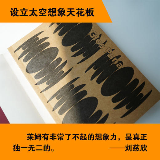 其主之声波兰科幻泰斗斯坦尼斯瓦夫莱姆百年诞辰纪念版刘慈欣推荐 商品图3