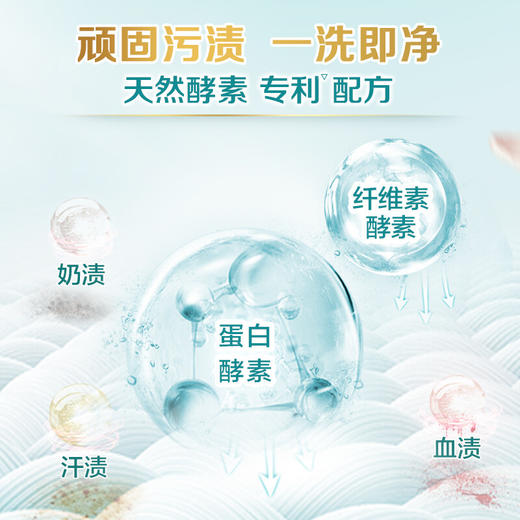 立白天然茶籽除菌洗衣液6kg（500g*12袋）补充装 香水洗衣液香味持久 手洗机洗 酒店整箱批发团购 商品图6