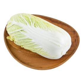 高山大娃娃菜 约500g/份（蔬菜）高原