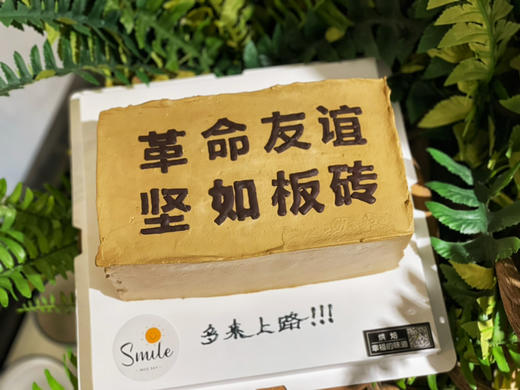 革命友谊坚如板砖 商品图2