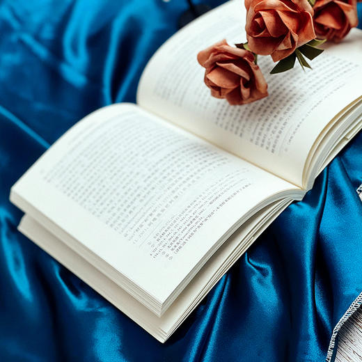 作为政治学的《伊利亚特》 经典与解释 古典学丛编 六点图书 诗歌研究 古希腊 哲学 政治学 [美]翰默 著 商品图8